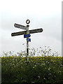 TM4095 : Roadsign on Thurlton Road by Geographer