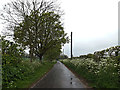 TM4493 : Waterheath Road, Aldeby by Geographer