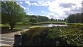 SJ8832 : Park and lake at Stafford Northbound Service Station by Steven Haslington