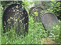 SK3485 : Headstones in Sheffield General Cemetery by Graham Robson