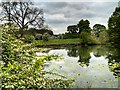 SJ7581 : Mill Pond at Tatton Park by David Dixon