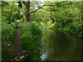 TQ0375 : River Colne by Alan Hunt