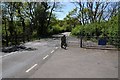 SS5391 : Cattle grid on the B4271 by Philip Halling