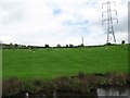 SJ9590 : Sheep and geese grazing, south of Romiley by Christine Johnstone