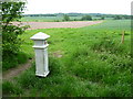 TQ1760 : Coal Tax post on the edge of Ashstead Common by Marathon