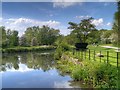 SJ5396 : Sankey Canal at Stanley Bank by David Dixon