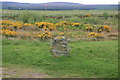 NH7444 : Culloden Battlefield: Clan Headstone by Graham Hogg