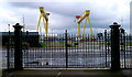 J3575 : Cranes and gates, Belfast by Rossographer