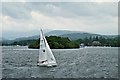 SD3995 : Windermere, Sailing near Ramp Holme by David Dixon