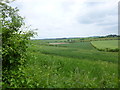 SU1420 : Breamore, cornfield by Mike Faherty