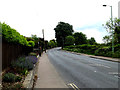 TL8642 : A131 Melford Road, Sudbury by Geographer