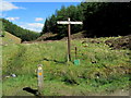 NN3725 : Fingerpost on the West Highland Way by Chris Heaton