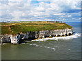 TA2372 : Flamborough Cliffs Nature Reserve by Scott Robinson