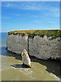 TA2471 : Queen Rock Sea Stack, Breil Nook, Flamborough by Scott Robinson