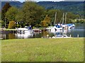 SD3786 : River Leven, Moorings at Newby Bridge by David Dixon