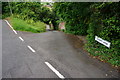 SX8862 : Start of Sleepy Lane, Shorton by jeff collins