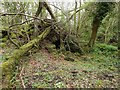 NS4077 : Lime-kiln ruin near Murroch Farm by Lairich Rig