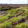 NZ8601 : Barren Moorland, Robbed Howe by Scott Robinson