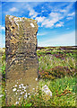 NZ8602 : Sneaton Boundary Stone by Scott Robinson