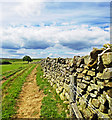 NZ8703 : Dry Stone Wall, Leas Head Road by Scott Robinson