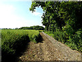 TM3780 : Field edge near Spexhall House & footpath by Geographer