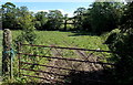 ST0279 : Tyre tracks into a field near Talygarn by Jaggery