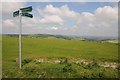 SZ5578 : Bridleway sign on Wroxall Down by Philip Halling