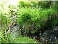 SE0908 : The confluence of Middle Clough and Rams Clough by Humphrey Bolton