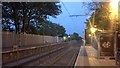 TQ3568 : Late evening, Birkbeck tram stop by Christopher Hilton