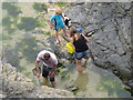 SW8775 : Exploring rock pools at Harlyn Bay by David Hawgood