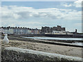 SN5882 : Beach with Herring Gull, Aberystwyth, Ceredigion by Christine Matthews