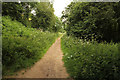 SK6458 : Southwell Trail by Richard Croft