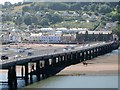 SX9372 : Riding the Salty west of Teignmouth and Shaldon Bridge by Robin Stott