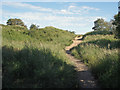 SS8377 : Footpath in Newton duneland by eswales