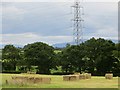 NY4452 : Hay bales, Cumwhinton by Richard Webb