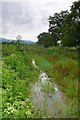 SN6999 : Morfa ger Plas Talgarth / Marshland near Plas Talgarth by Ian Medcalf