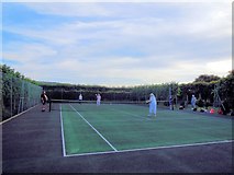 TQ4312 : Tennis Court at Ringmer Park by Paul Gillett