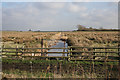 TL2285 : Great Fen Project, Darlows Farm by Hugh Venables