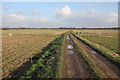 TL2184 : Permissive path across Woodwalton Fen by Hugh Venables