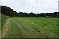 SW5132 : Muck-spreading near Bowgyheere Farm by Bill Boaden