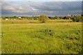 SO9137 : View of Twyning meadow by Philip Halling