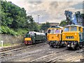 SD8010 : East Lancashire Railway Summer Diesel Gala 2014 by David Dixon