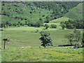 NY2904 : Marshy area north of Blea Tarn by Trevor Littlewood