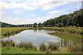 SJ5876 : Pond and Viaduct, Dutton Park by Jeff Buck