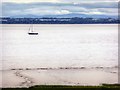 SJ4182 : River Mersey, Speke by David Dixon