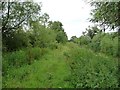 ST4021 : Towpath, Westport Canal, south from Westmoor Bridge by Christine Johnstone