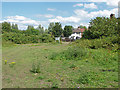 TQ0074 : Rough pasture, Wraysbury by Alan Hunt