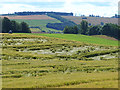 NT6927 : Field of barley at Ormiston by Oliver Dixon