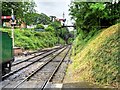 SU5832 : Watercress Line, New Alresford by David Dixon