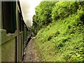 SU7138 : The Watercress Line Approaching Mount Pleasant Road Bridge by David Dixon